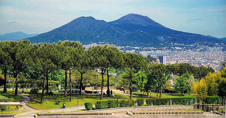 colli aminei