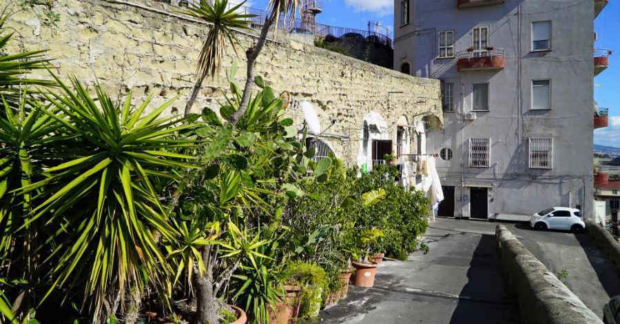 Il giardino dei bassi napoletani
