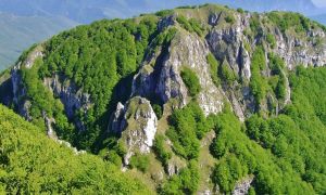 Oasi del Monte Accellica