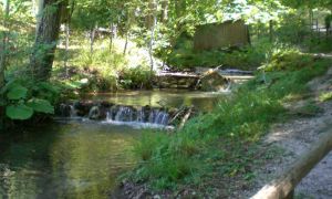 Oasi del Monte Polveracchio