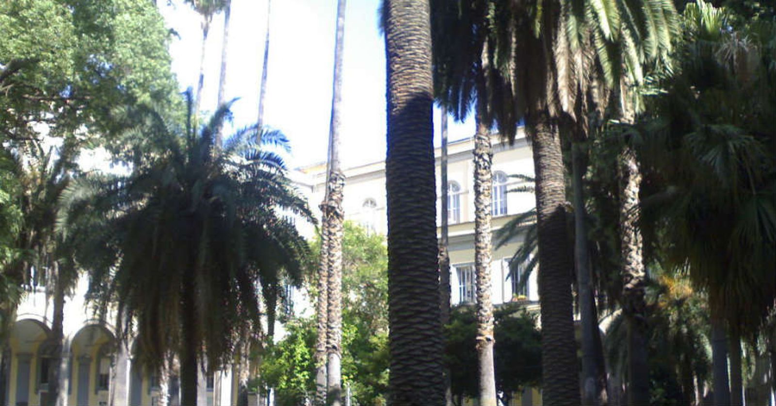 Chiostro di Sant'Andrea delle Dame