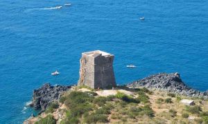 torri-saracene