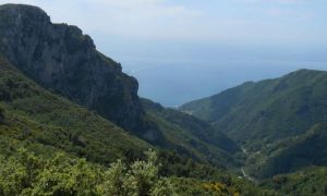 Monte Falerio