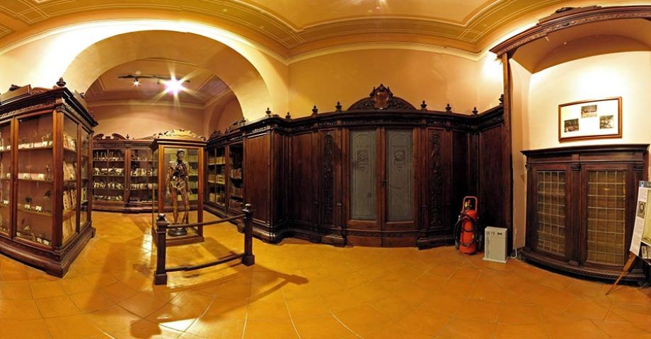 Museo di Anatomia Umana di Napoli