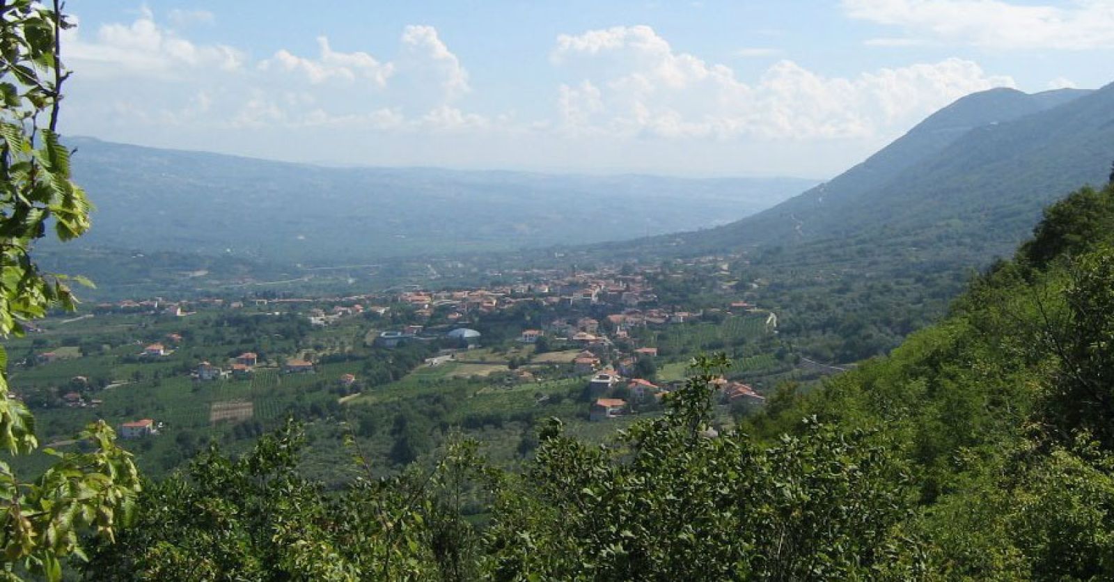 Solopaca