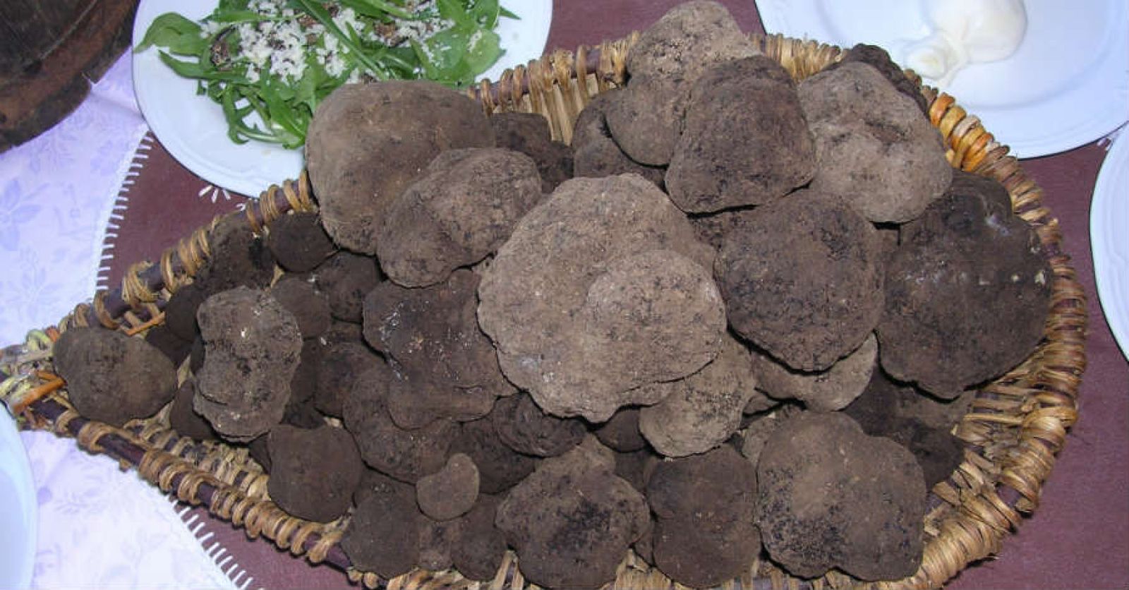 Tartufo nero
