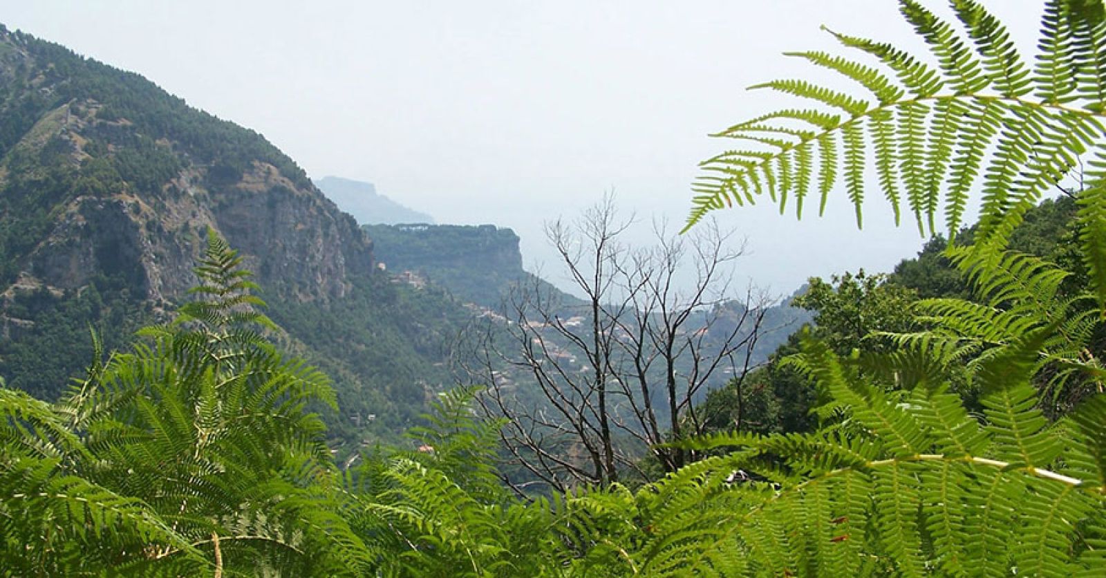 valle-ferriere