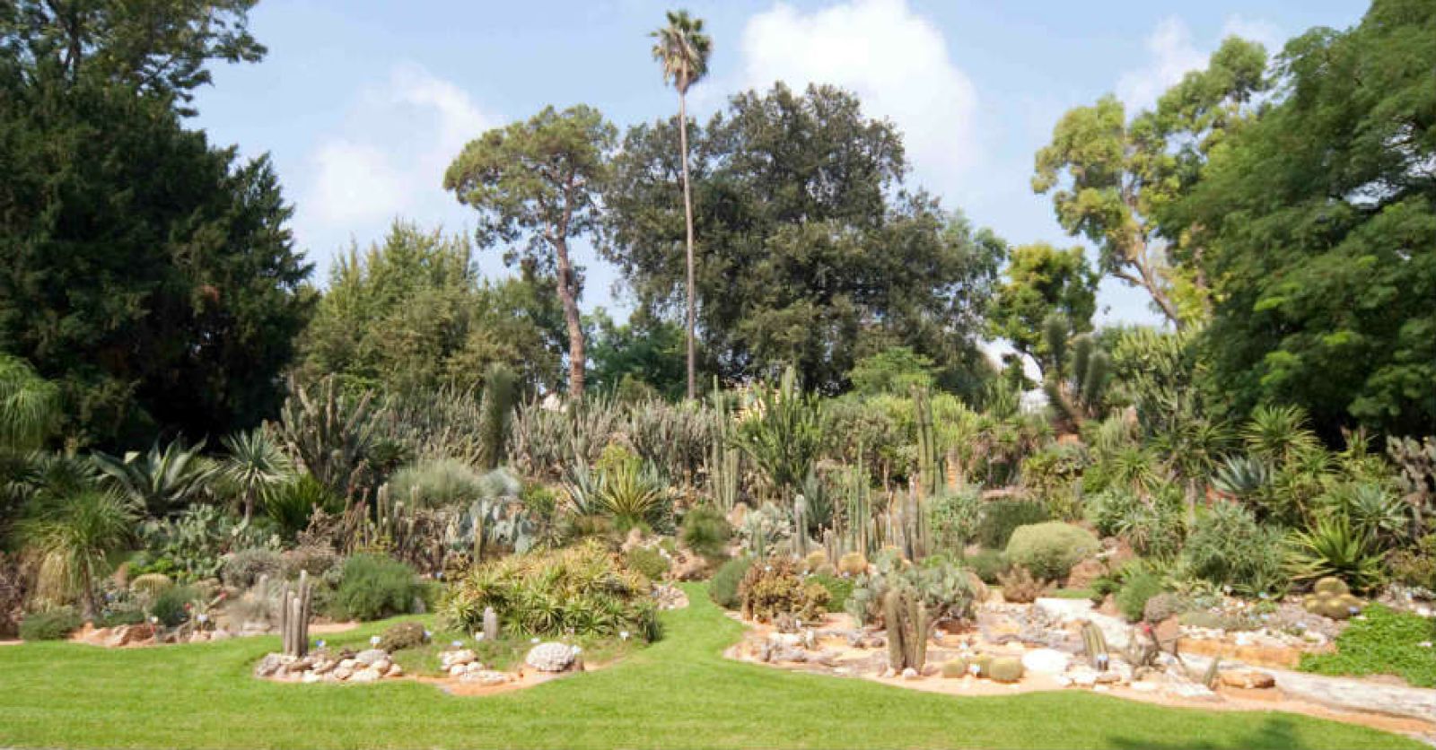 Real Orto Botanico